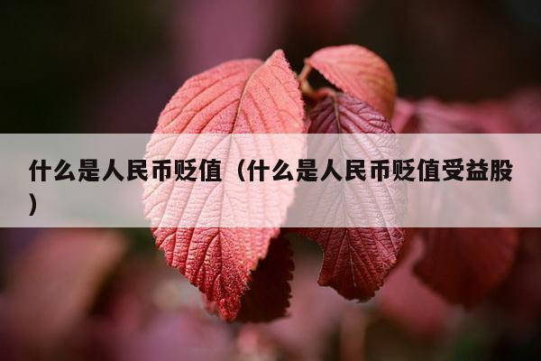 什么是人民币贬值（什么是人民币贬值受益股）