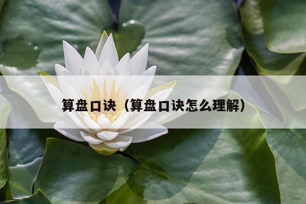 算盘口诀（算盘口诀怎么理解）