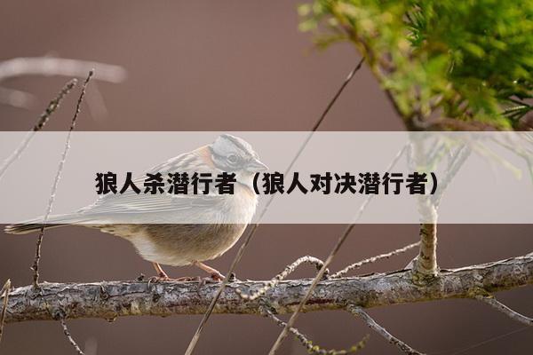 狼人杀潜行者（狼人对决潜行者）