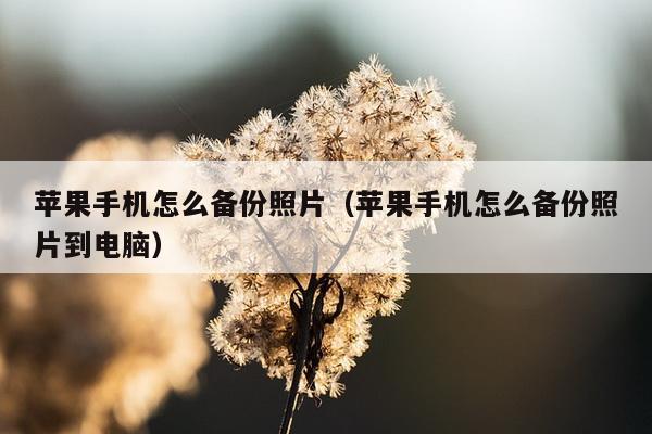 苹果手机怎么备份照片（苹果手机怎么备份照片到电脑）