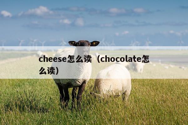 cheese怎么读（chocolate怎么读）