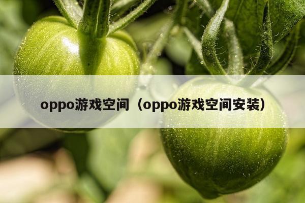 oppo游戏空间（oppo游戏空间安装）