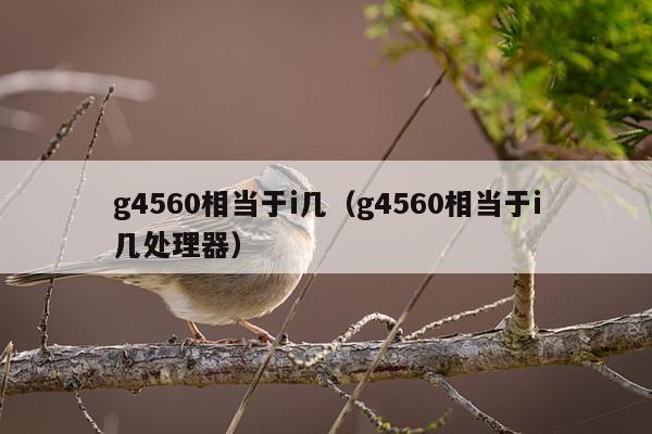 g4560相当于i几（g4560相当于i几处理器）