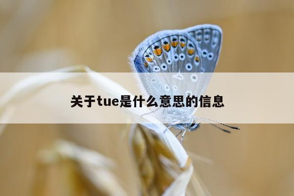 关于tue是什么意思的信息