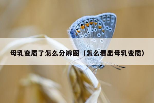 母乳变质了怎么分辨图（怎么看出母乳变质）