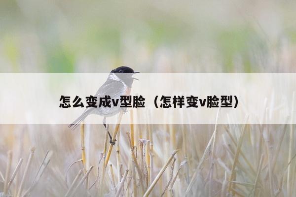 怎么变成v型脸（怎样变v脸型）