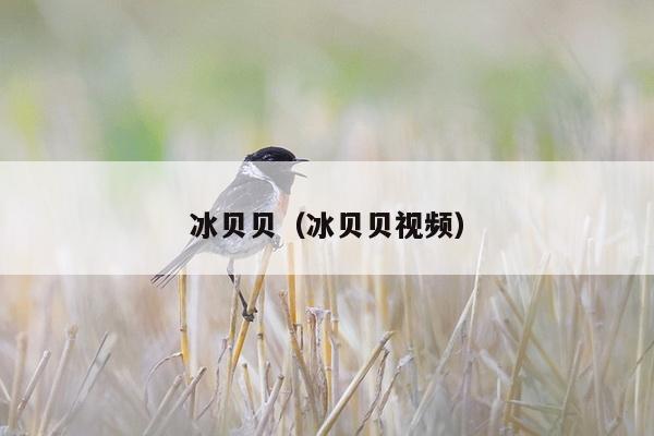 冰贝贝（冰贝贝视频）