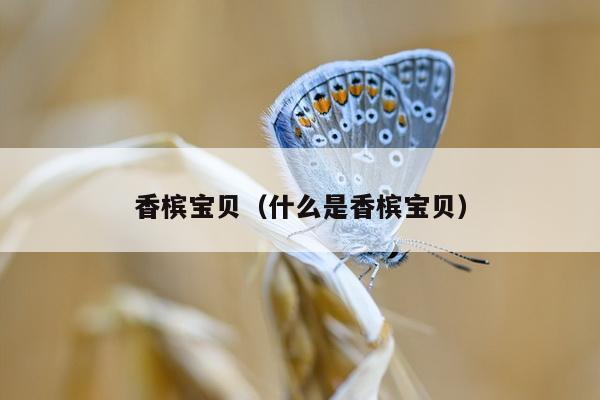 香槟宝贝（什么是香槟宝贝）