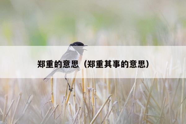 郑重的意思（郑重其事的意思）