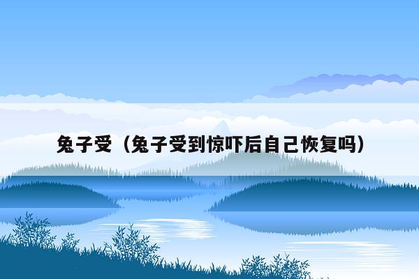 兔子受（兔子受到惊吓后自己恢复吗）