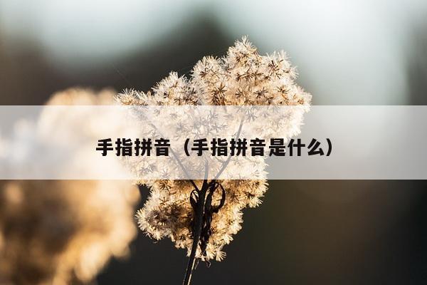 手指拼音（手指拼音是什么）