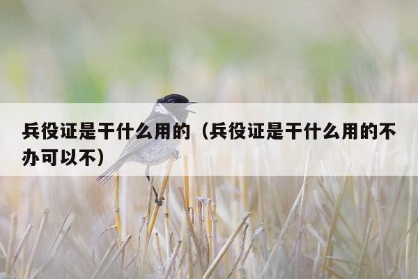 兵役证是干什么用的（兵役证是干什么用的不办可以不）