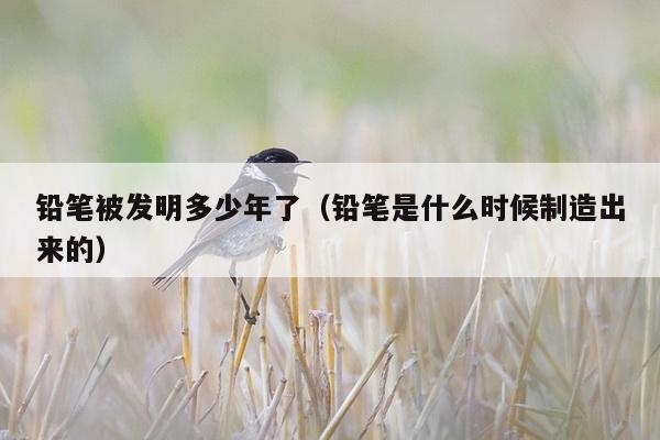 铅笔被发明多少年了（铅笔是什么时候制造出来的）