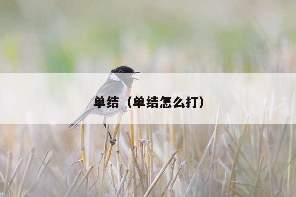 单结（单结怎么打）