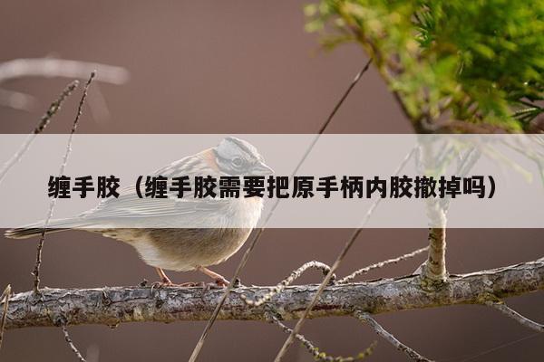 缠手胶（缠手胶需要把原手柄内胶撤掉吗）