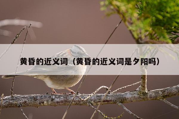 黄昏的近义词（黄昏的近义词是夕阳吗）