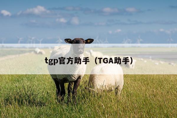 tgp官方助手（TGA助手）