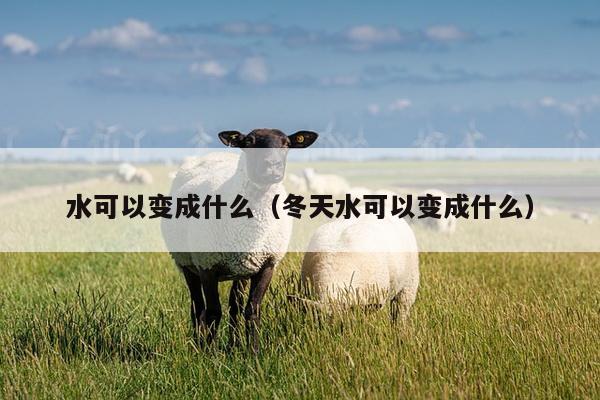 水可以变成什么（冬天水可以变成什么）