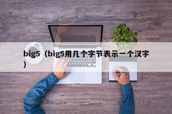 big5（big5用几个字节表示一个汉字）