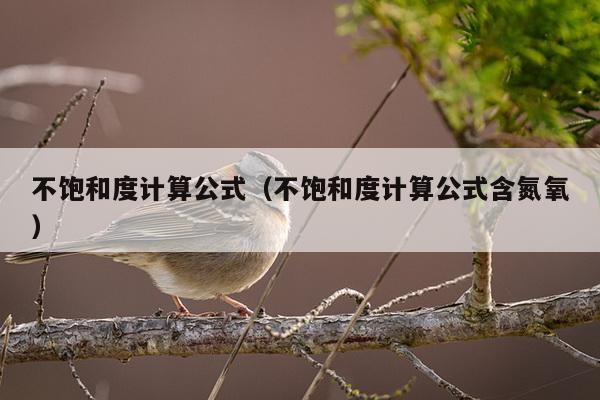 不饱和度计算公式（不饱和度计算公式含氮氧）