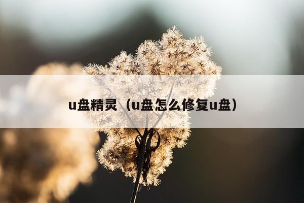 u盘精灵（u盘怎么修复u盘）