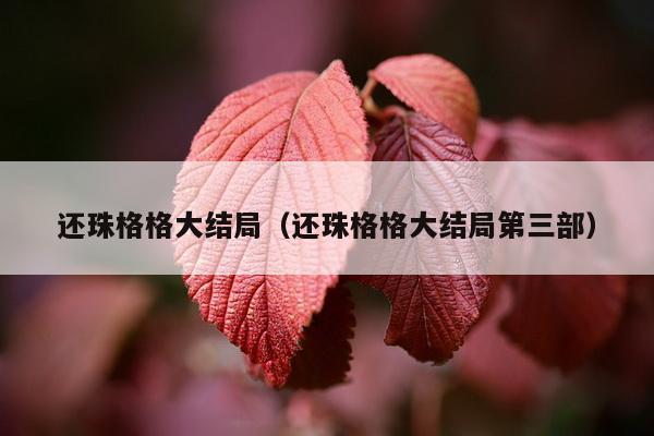 还珠格格大结局（还珠格格大结局第三部）