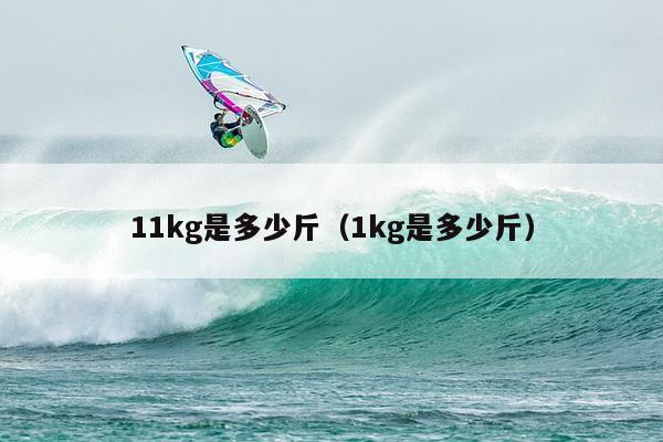 11kg是多少斤（1kg是多少斤）