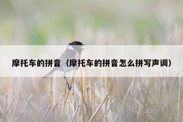 摩托车的拼音（摩托车的拼音怎么拼写声调）