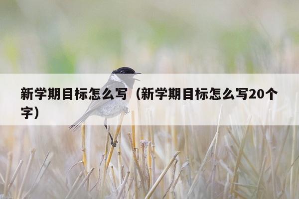 新学期目标怎么写（新学期目标怎么写20个字）