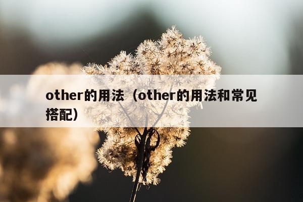 other的用法（other的用法和常见搭配）