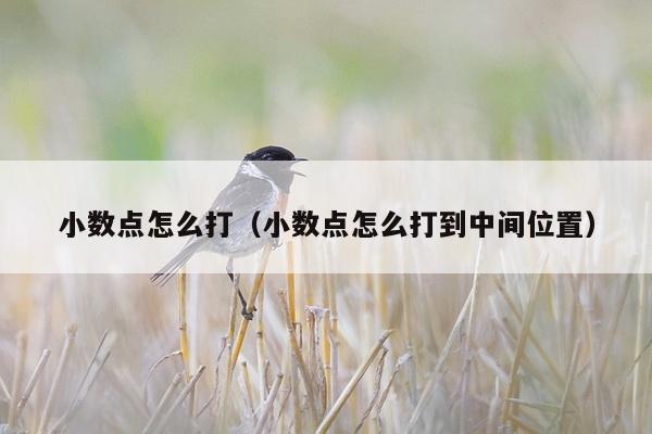 小数点怎么打（小数点怎么打到中间位置）