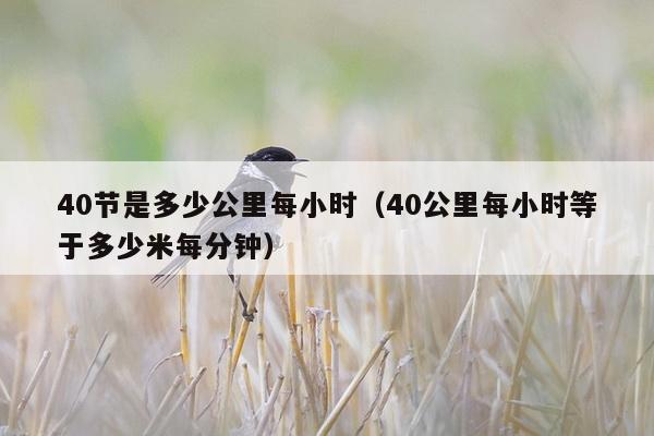 40节是多少公里每小时（40公里每小时等于多少米每分钟）