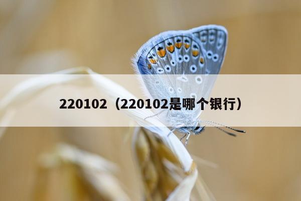 220102（220102是哪个银行）