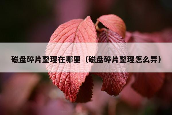 磁盘碎片整理在哪里（磁盘碎片整理怎么弄）