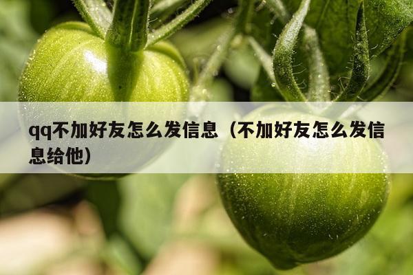 qq不加好友怎么发信息（不加好友怎么发信息给他）