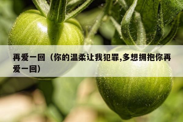 再爱一回（你的温柔让我犯罪,多想拥抱你再爱一回）