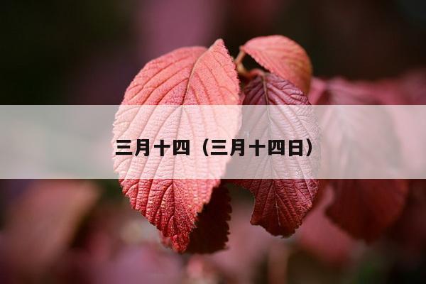 三月十四（三月十四日）