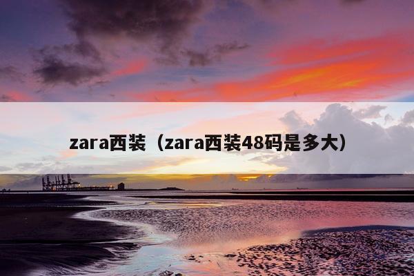 zara西装（zara西装48码是多大）