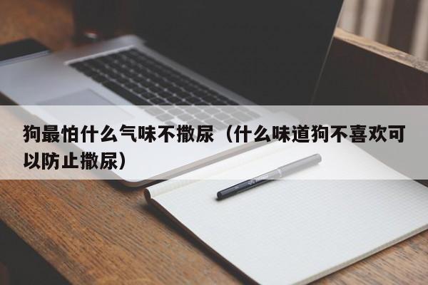 狗最怕什么气味不撒尿（什么味道狗不喜欢可以防止撒尿）