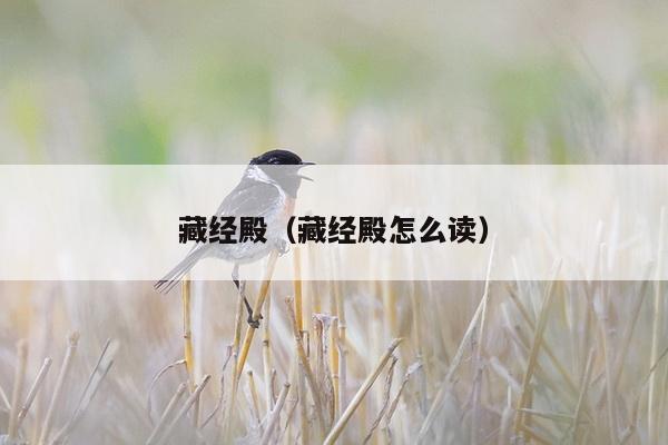 藏经殿（藏经殿怎么读）