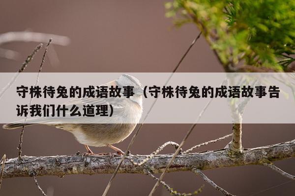 守株待兔的成语故事（守株待兔的成语故事告诉我们什么道理）