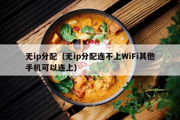 无ip分配（无ip分配连不上WiFi其他手机可以连上）