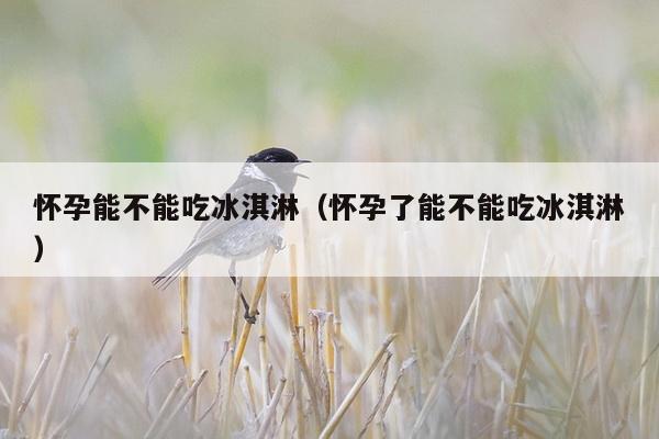 怀孕能不能吃冰淇淋（怀孕了能不能吃冰淇淋）