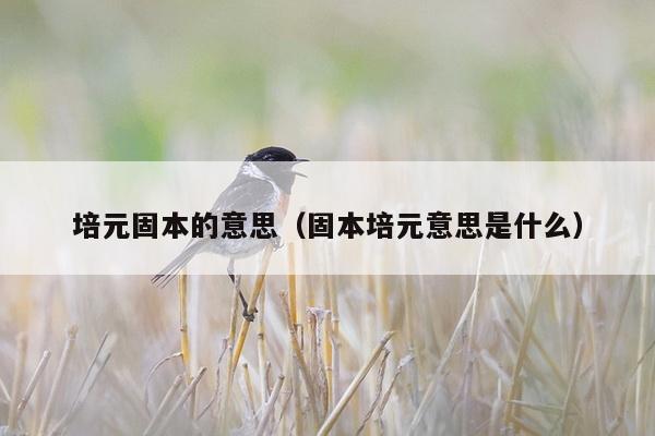 培元固本的意思（固本培元意思是什么）