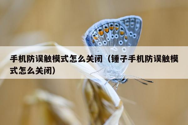 手机防误触模式怎么关闭（锤子手机防误触模式怎么关闭）