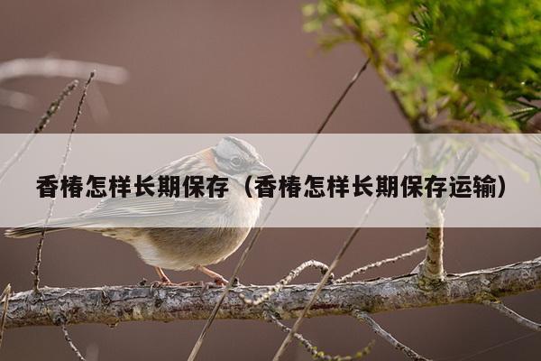 香椿怎样长期保存（香椿怎样长期保存运输）