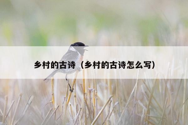 乡村的古诗（乡村的古诗怎么写）