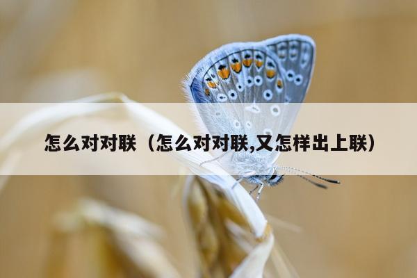 怎么对对联（怎么对对联,又怎样出上联）