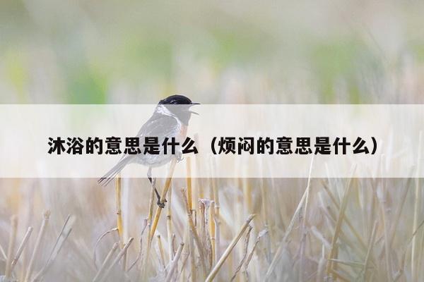 沐浴的意思是什么（烦闷的意思是什么）