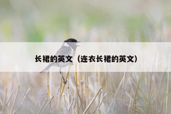 长裙的英文（连衣长裙的英文）